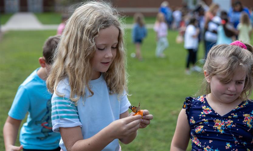 Students smile while releasing butterflies outside